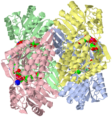 Image Asym./Biol. Unit