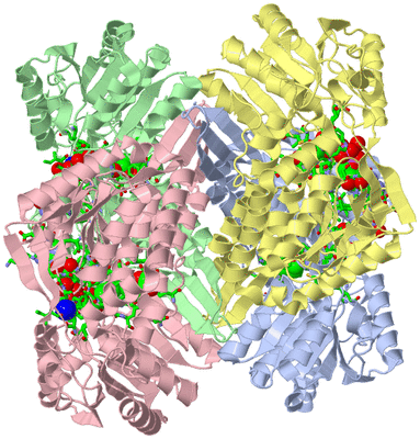 Image Asym./Biol. Unit - sites