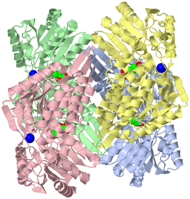 Image Asym./Biol. Unit