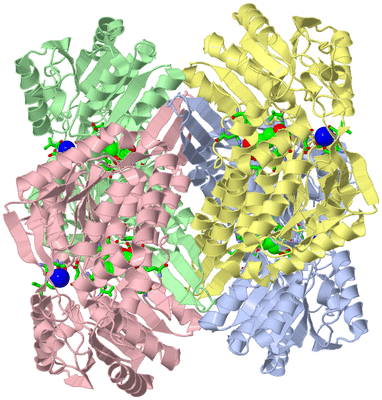 Image Asym./Biol. Unit - sites