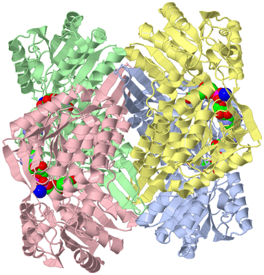 Image Asym./Biol. Unit