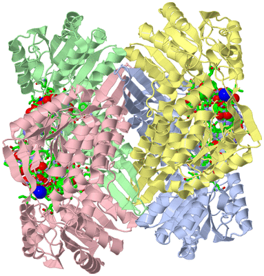 Image Asym./Biol. Unit - sites