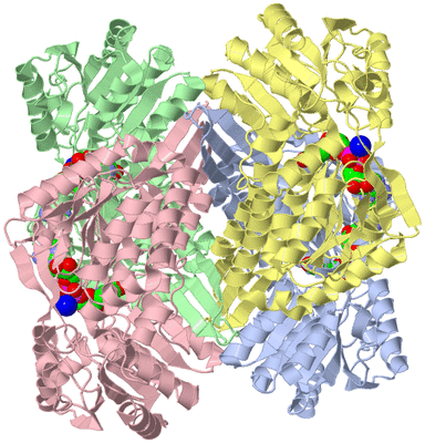 Image Asym./Biol. Unit