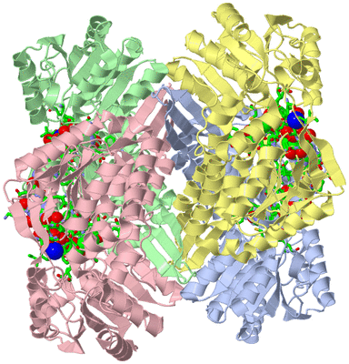 Image Asym./Biol. Unit - sites