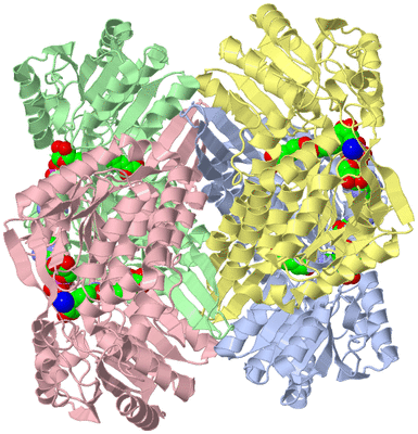 Image Asym./Biol. Unit