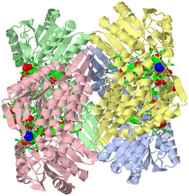 Image Asym./Biol. Unit - sites