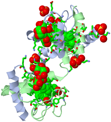 Image Asym./Biol. Unit - sites