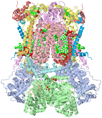 Image Biological Unit 1