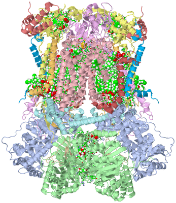 Image Biol. Unit 1 - sites