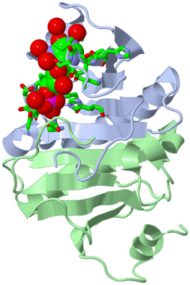 Image Biol. Unit 1 - sites