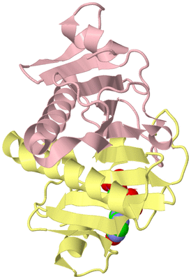 Image Biological Unit 2