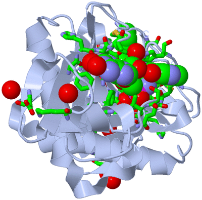 Image Biol. Unit 1 - sites