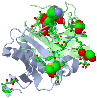 Image Asym./Biol. Unit - sites