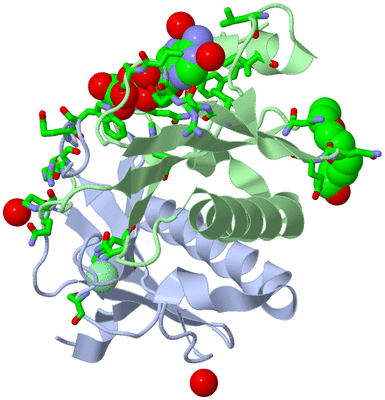 Image Asym./Biol. Unit - sites