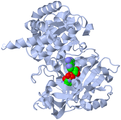 Image Biological Unit 1