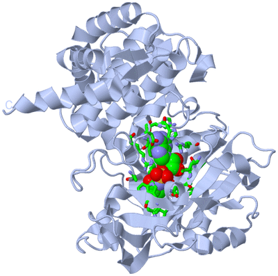 Image Biol. Unit 1 - sites