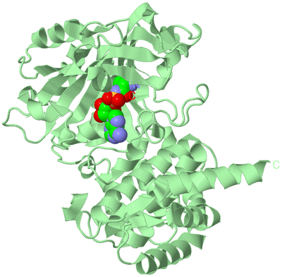 Image Biological Unit 2