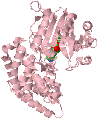 Image Biological Unit 3