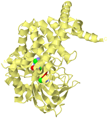 Image Biological Unit 4