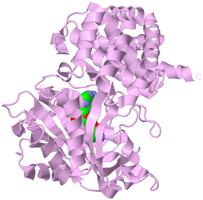 Image Biological Unit 5