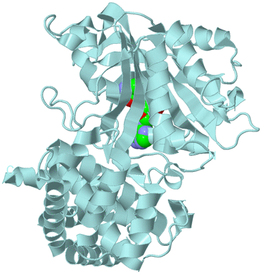 Image Biological Unit 6