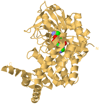 Image Biological Unit 7