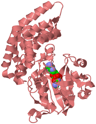 Image Biological Unit 8