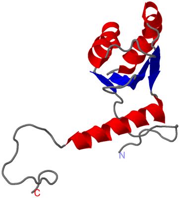 Image NMR Structure - model 1