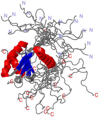 Image NMR Structure - all models