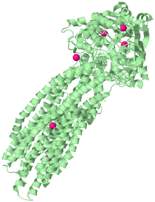 Image Biological Unit 2