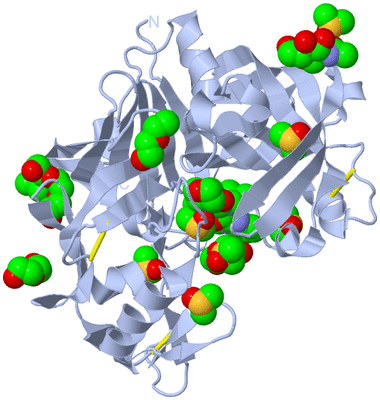 Image Biological Unit 1