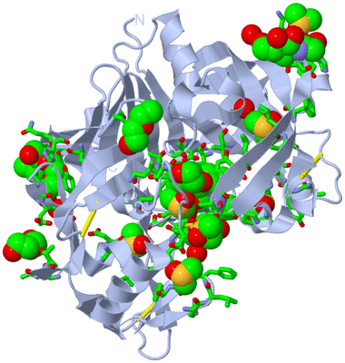 Image Biol. Unit 1 - sites