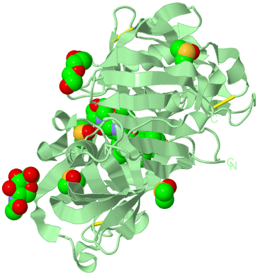 Image Biological Unit 2