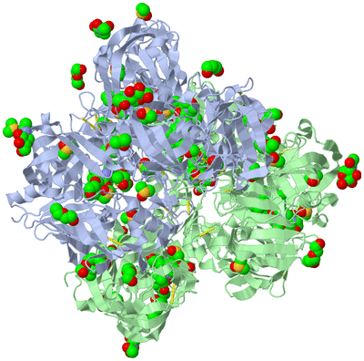 Image Biological Unit 3