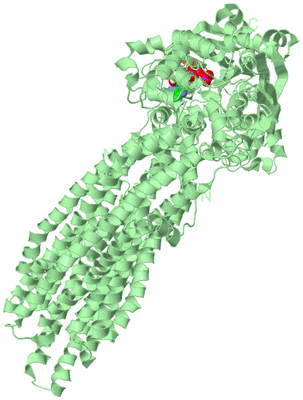 Image Biological Unit 2