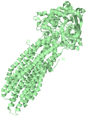 Image Biological Unit 2