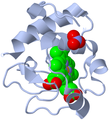 Image Biological Unit 1