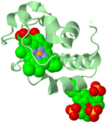 Image Biological Unit 2