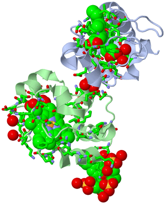 Image Asym. Unit - sites