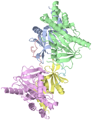 Image Asym./Biol. Unit