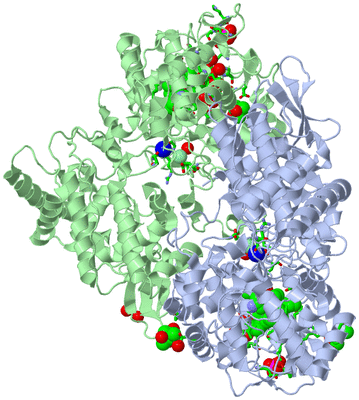 Image Asym./Biol. Unit - sites