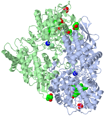 Image Asym./Biol. Unit