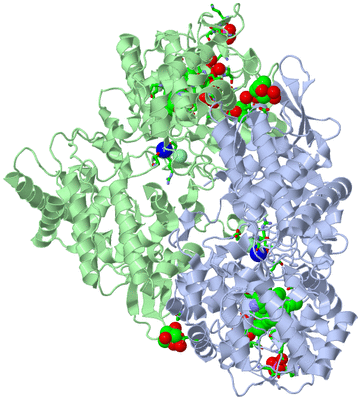 Image Asym./Biol. Unit - sites