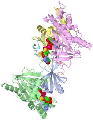 Image Asym./Biol. Unit