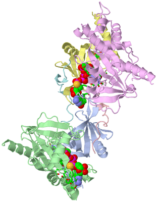 Image Asym./Biol. Unit - sites