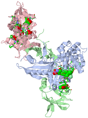 Image Asym./Biol. Unit - sites