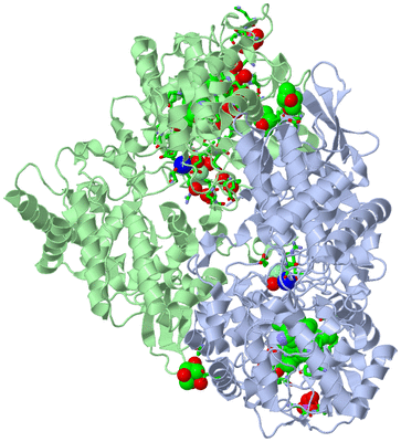 Image Asym./Biol. Unit - sites