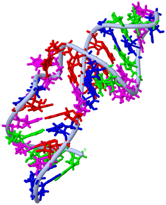 Image NMR Structure - model 1