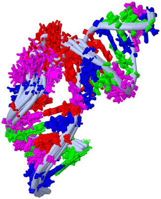 Image NMR Structure - all models