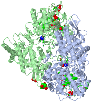 Image Asym./Biol. Unit - sites